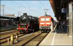 BR 41 (783 Fotos)
