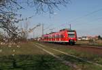 br-425 Am sonnigen 09. April 2010 war die Baumbl�te im Norden von Baden-W�rttemberg in vollem Gange. Da sich die Triebwagen der Baureihe 425 immer mal wieder dazu eignen, etwas zu experimentieren, versuchte ich die Baumbl�te mit dem Ludwigshafener 425 122, der als RB 18673 von Biblis nach Karlsruhe vor kurzem den Haltepunkt von Wiesental verlassen hat, mit ins Bild zu integrieren.
