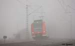 425 274 am 15.01.2012 bei Hohnhorst.  ...