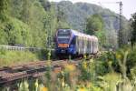 Cantus Flirt 427 051 ...  Jens Baumhauer 03.09.2011
