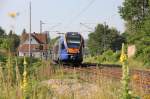 Cantus Flirt 427 003 ...  Jens Baumhauer 04.09.2011