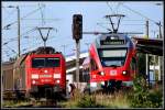 Der Flirt darf vor ...  J�rg Trutwig 05.02.2010