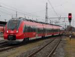 Hamster-Alarm in Rostock:Talent 2 ...  Stefan Pavel 06.12.2011