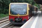 Berlin, 20.06.2010, S-Bahnlinie S1 ...  Reinhard Zabel 26.06.2010
