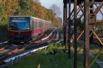 Sch�nes Herbstlicht fiel auf ...  Silvan Wyss 11.12.2011