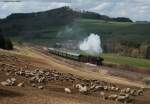 50 2740 mit dem P 206 (Gerolstein-Ulmen)bei Pelm 2.4.10  ...