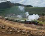50 2740 mit dem P 206 (Gerolstein-Ulmen)bei Pelm 2.4.10  ...