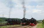 14.05.2011, von links 52 ...  Floreg L. 19.05.2011