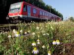 628-572 n�hert sich als REX5993 auf seiner Fahrt nach Linz/Donau ...