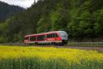 642 028 als RB Saalfeld-Blankenstein am 12.05.2010 bei Hockeroda.  ...