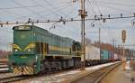 SZ 664-108 mit Containerzug ...  Franci Vuk 03.01.2012