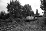 710 964-8, mit einen ...  Thomas Flebbe 30.07.2010