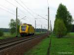 Die lange Flur nach ...  Alexander Wiemer 15.05.2010