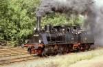 89 6009  Neumark ...  Werner Brutzer 03.10.2010
