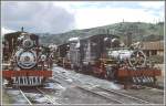 Bahnbetriebswerk Sao Joao del Rei in Minas Gerais. Wie die hier abgebildeten Loks 42 und 43 befanden sich fast alle der 22 Maschinen in einem ausgezeichenten Zustand. (Archiv 03/1979)