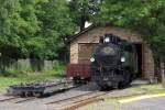 RSE Dampflok 53 am ...  Maxim P. R. 13.06.2011