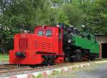 RSE V6 und Lok ...  Maxim P. R. 13.06.2011