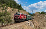 75 009 mit dem R 1661 (Septemvri - Dobrinishte) bei Yurukovo 3.9.23