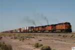 Vier Lokomotiven der BNSF (# 4823 C44-9W, # 7215 ES44DC, ...