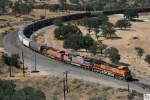Die drei BNSF Lokomotiven # 1121 (GE C44-9W), # 679 ...