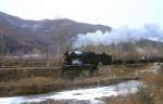 C2 21033  Waldbahn Weihe  in Zhenzhu  01.04.99
