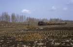 C2 Nr.02  Waldbahn Yabuli  02.04.99