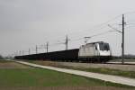 cargoserv 10.4.10 Derzeit verkehrt die Vorf�hrlok des Siemens Konzerns (unter der Nummer 183 701) f�r das Unternehmen CargoServ. Durch die Umleitung der CargoServ Z�ge von der Summerauerbahn �ber den Grenz�bergang Breclav ergeben sich somit neue Fotoobjekte. Zu sehen ist die 183 701 am SLGAG 46180 von Linz Stahlwerke nach Breclav bei Gaisruck.