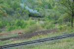 Der Zug befhrt am Pass die untere Haarnadelkurve um dann Minuten spter das vordere Gleis zu befahren. Das Pferd war leider gerade am pausieren. Vor dem Zug und danach Pflgten 2 Bauern mit den 2 Pferden ihr Feld. (Mai 2008!)