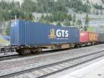 Containertragwagen (35 Photos)