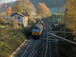 Laut br�llend mit Schrittgeschwindig. ...  Mario Sch�rholz 16.11.2011