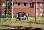 Während der einen Stunde Aufenthalt im Bahnhof Padborg st (DK) auf der Bahnstrecke Fredericia–Flensburg (KBS 65 (DSB)) war leider so gut wie nichts los. Daher widmete ich mich (dauerhaft) abgestellten Fahrzeugen:
Tele-Blick auf einen Diesel-Rangiertraktor (Køf) der Danske Statsbaner (DSB), hergestellt von Frichs Maskinfabrik og Kedelsmedie A/S.
Aufgenommen von Bahnsteig 2.
[3.8.2019 | 11:38 Uhr]