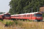 Infos zu Folge hatte die damalige Arriva vor einigen Jahren fr eine europaweite Expansion dnischer ML Triebwagen gekauft. Bislang wurde nur eine Einheit in Neustrelitz aufgearbeitet und kommt nun in Polen zum Einsatz Bahnhof Meyenburg.(13.06.2011)