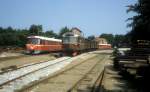 GDS (Gribskovbanen) Triebzug (Ys + Yp + Ym + Ys + Yp + Ym) / Diesellok L1 mit drei Güterwagen Bahnhof Kagerup am 11. Juli 1983.