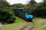 Der Zug der Museumsbahn Hanstholm taucht hier, am Mittag des 17.04.2014, gerade, mit Fahrtrichtung Bahnhof, in den dichten Hanstholmer  Küstenurwald  ein.