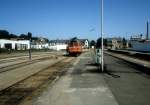 Lollandsbanen: LJ-Diesellok (M 31 oder M 32) Bahnhof Nakskov am 22. Juni 1983.