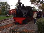 Dampfkleinbahn M�hlenstroth (11 Fotos)