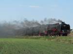 Dampflokparade Wolsztyn: Pm36-2 und ...  Thomas Wendt 01.05.2011