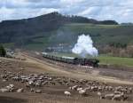 50 2740 mit Sonderzug ...  Marvin 10.04.2010