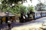 Darjeeling-Bahn (48 Fotos)