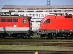 detailaufnahmen Die 1142 648-3 und eine Taurus Schnauze an Schnauze. Aufgenommen am 23.4.2005 in Graz