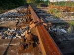 detailaufnahmen Herbst 2009: Ein Nu�baumblatt ist auf einem nicht mehr befahrenem Industriegleis beim Zstw. Wien S�ssenbrunn gelandet. (22.09.09)
