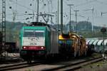 Cobra 186 216 (2824) ...  Mario Sch�rholz 06.05.2011