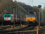 Die Class66 DE6302 von ...  Mario Sch�rholz 12.12.2011