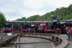 Gruppenbild mit Dampf- und Dieselloks vor dem Rundlokschuppen in Bochum Dahlhausen am 18.9.2010: 01 008, Kf, 66 002, 97 502, 74 1192, V9, 53 075, 44 377.