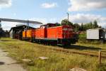 Die Gastlok 345 100-2 zog am 12.09.09 im ehemaligen BW Falkenberg oberer Bahnhof noch 3 Schtze aus der Wagenhalle. Zur Zeit ist die Anlage nur an wenigen Tagen im Jahr zugnglich, hier soll aber in Zukunft ein Eisenbahnmuseum entstehen.