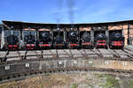 Dampflok-Parade mit 38 3199, 44 1616, 50 2988, 80 014, 86 457, 89 7531 und T9.1 (Cöln 1857) am Museumstag des Süddeutschen Eisenbahnmuseums in Heilbronn am 01.06.2019