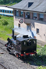 Mit  Luci  wurden Anfang Juni 2019 im Bayerischen Eisenbahnmuseum Nördlingen Führerstandsmitfahrten auf einer Dampflokomotive ermöglicht.