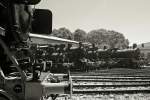 Lokparade im Bw Nördlingen (Bayerisches Eisenbahnmuseum) am 04.06.2010.