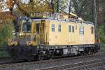 TIF 705 001 am 11.11.13 in Ratingen-Lintorf.