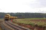 SUZ 500 UVR (Schnellumbauzug) bei der Arbeit zwischen Godlricht und Mimbach, hinten hngen die Wagen mit den neuen Schwellen, auf die auch die alten ausgebauten zum Abtransport geladen werden 04.10.2008 (Strecke Amberg-Schnaittenbach)